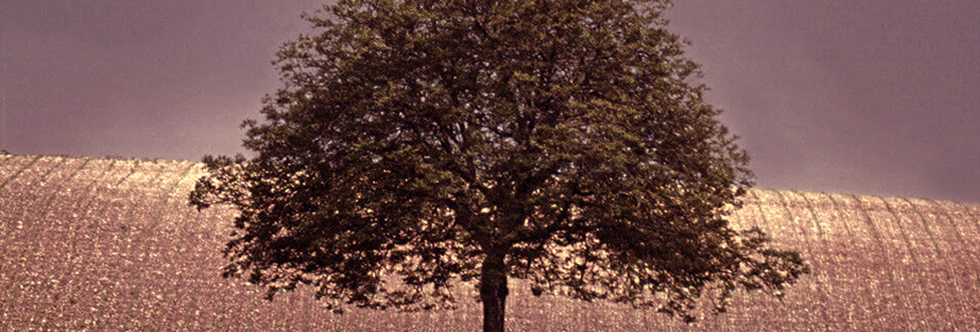 Arbre2Slide